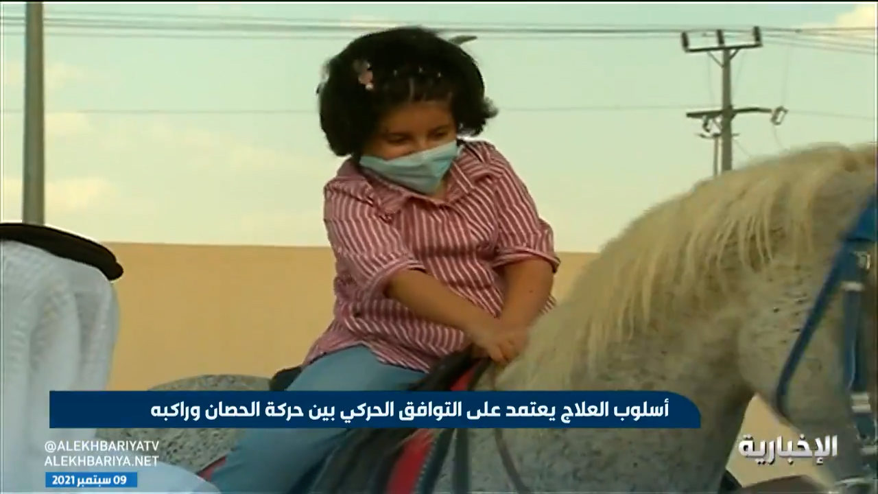 تقرير فرسان الإرادة